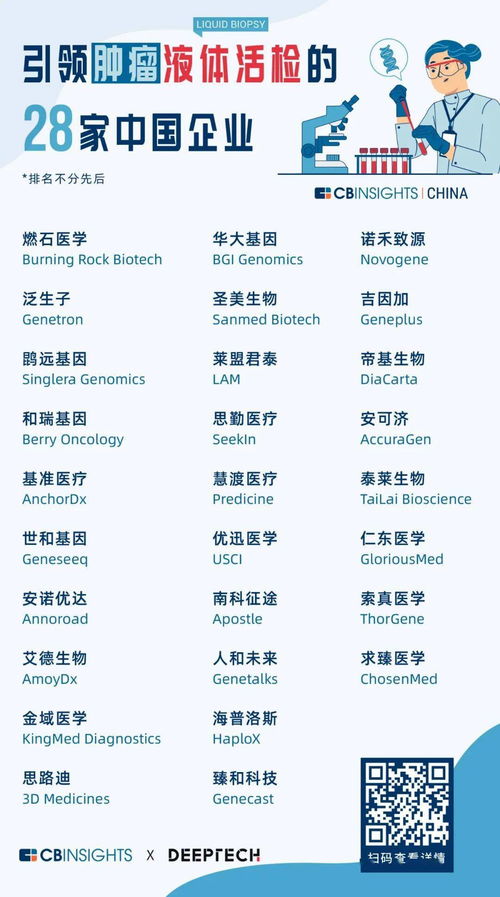 塘沽網站優化攻略-塘沽網站優化